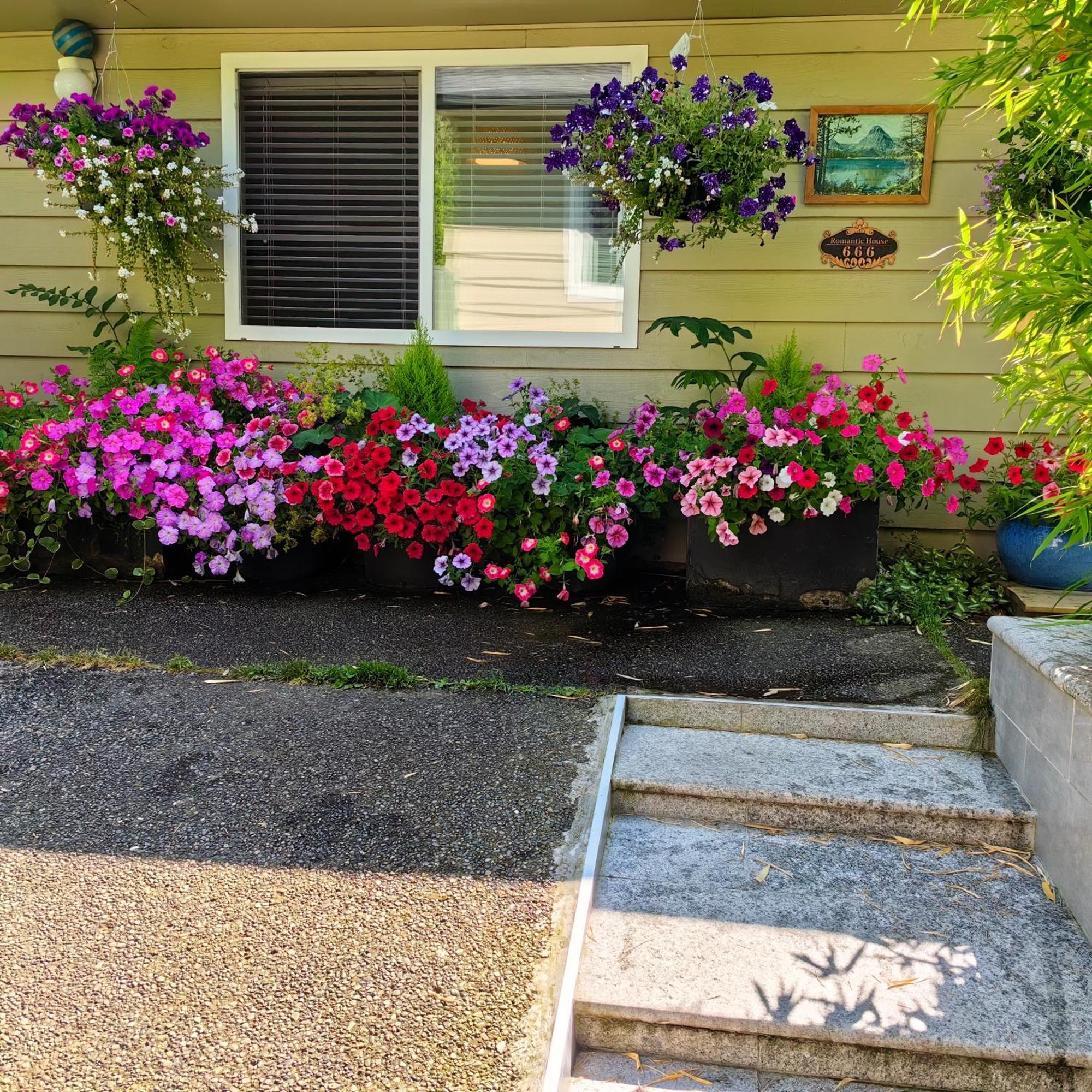 Romantic Homestay Coquitlam Exterior foto
